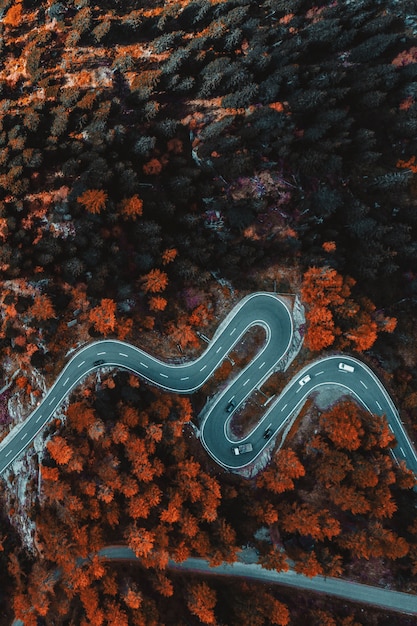 Free Photo top view of asphalt road