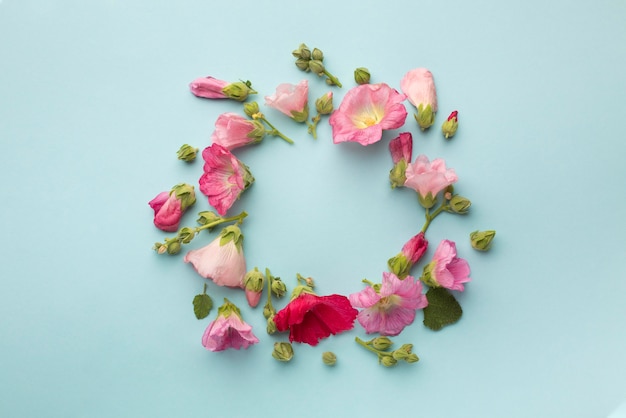 Top view assortment of flowers