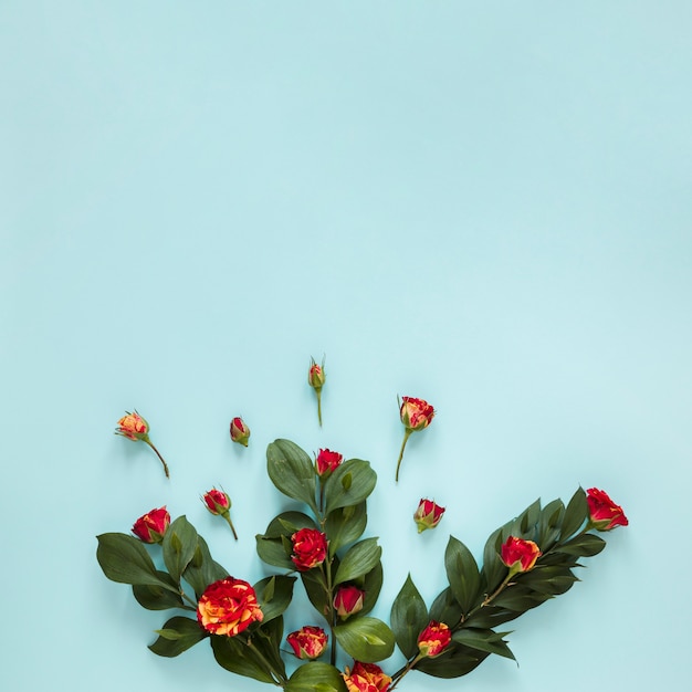 Top view assortment of garden roses and leaves