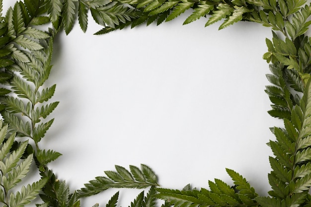 Top view assortment of green leafs with copy space