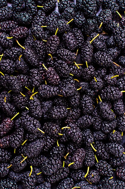 Top view of assortment of mulberries