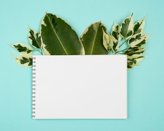 Free Photo top view of assortment of plant leaves with notebook