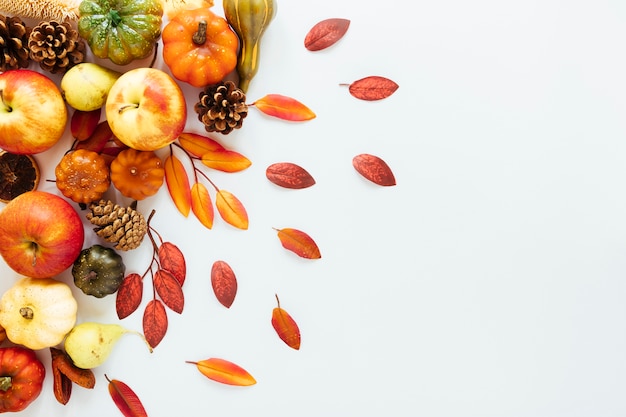 Top view autumn arrangement on white background