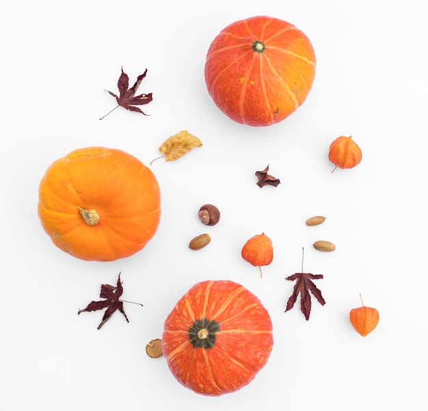 Top view autumn arrangement with pumpkins and acorn