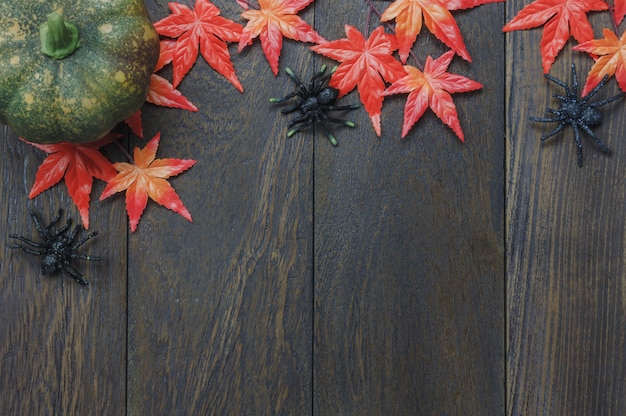 top view autumn elements on dark background