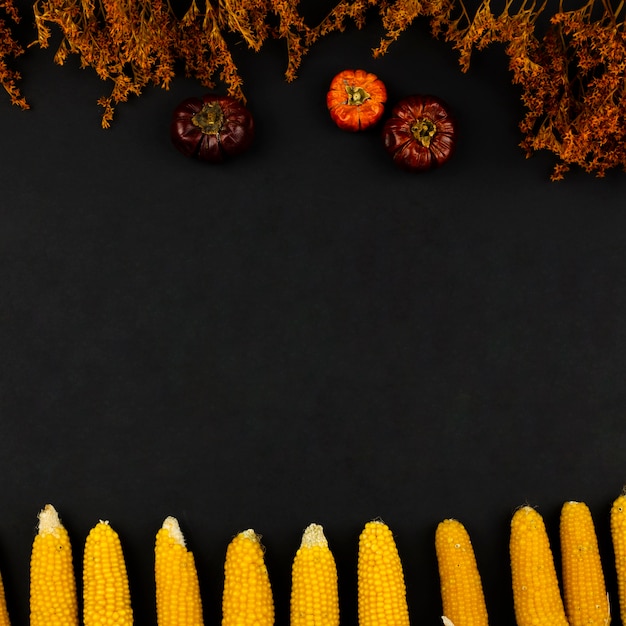 Top view autumn food with black background