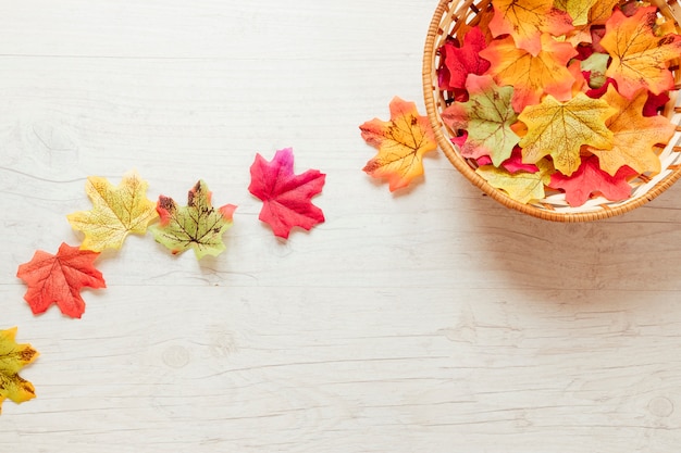 Top view autumn leaves in a basket 