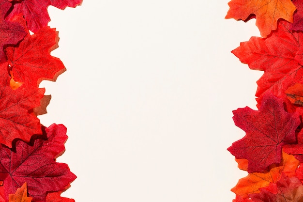 Top view of autumn leaves frame