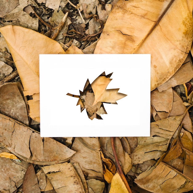 Free photo top view autumn leaves shapes