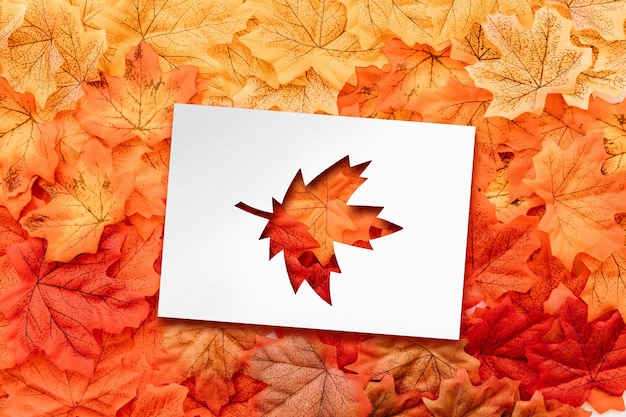 Free photo top view autumn leaves shapes