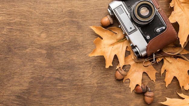 Free Photo top view of autumn leaves with camera and acorns