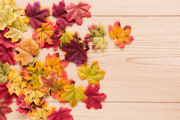 Free Photo top view autumn leaves with copy space