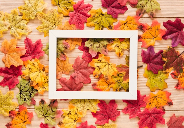 Free Photo top view autumn leaves with a frame