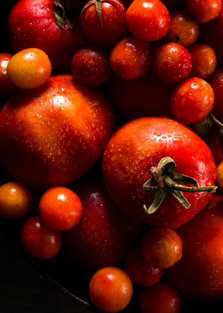 Top view of autumn tomatoes