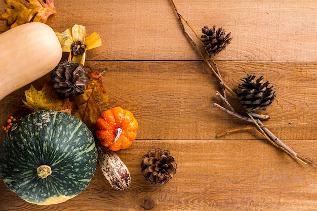 Free photo top view autumn vegetables in a corner