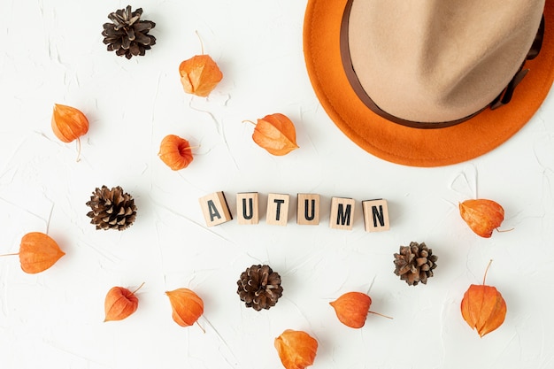 Free Photo top view autumnal arranegement with pine cones