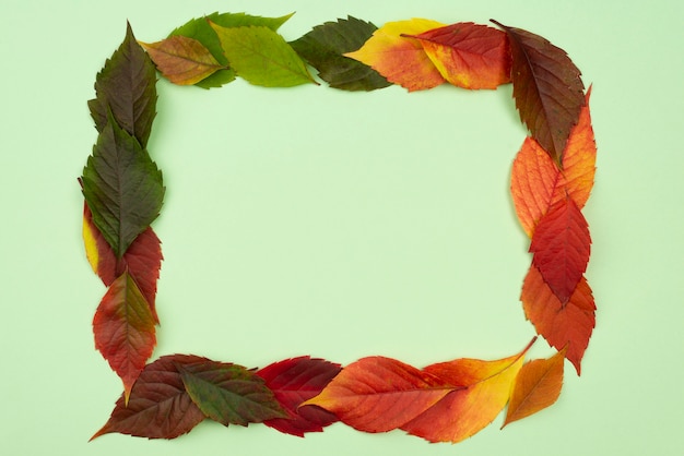 Top view of beautiful autumn leaves frame with copy space