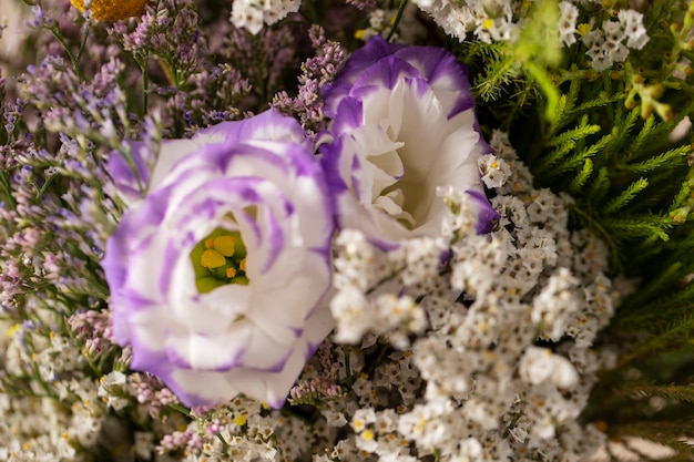 Top view beautiful blurry flowers