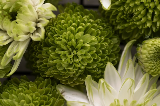 Top view of beautiful flowers in different colors