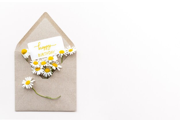 Top view beautiful flowers in envelope