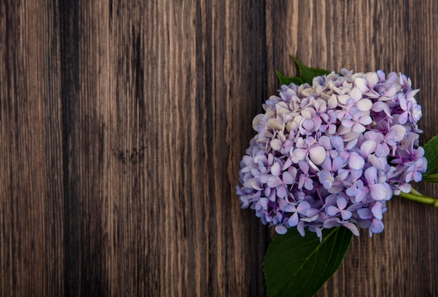 Top view of beautiful lilac flower with leaves on a wooden background with copy space