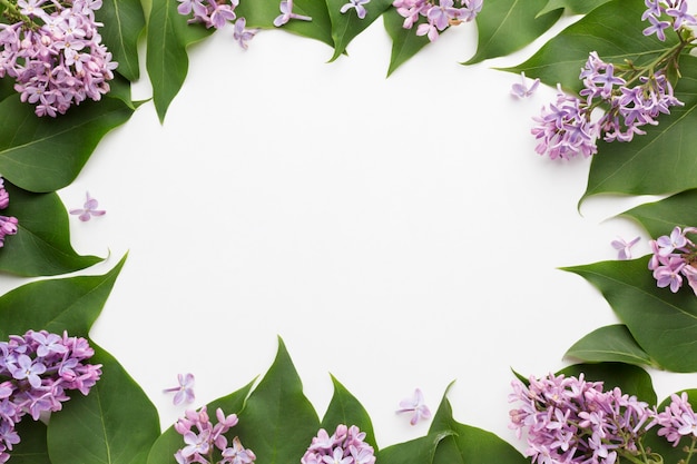 Free photo top view of beautiful lilac frame concept