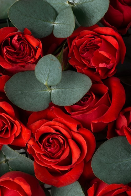 Top view of beautiful red colored flowers