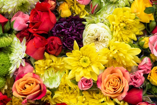 Top view of beautifully colored flowers