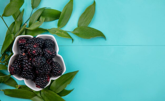 Top view of blackberry with leaf branches on a light blue surface