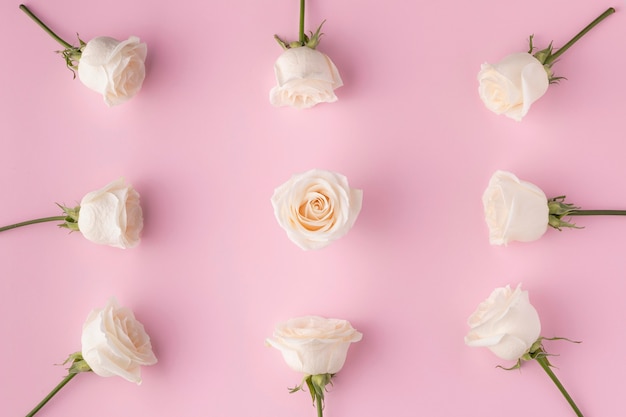 Top view blooming roses