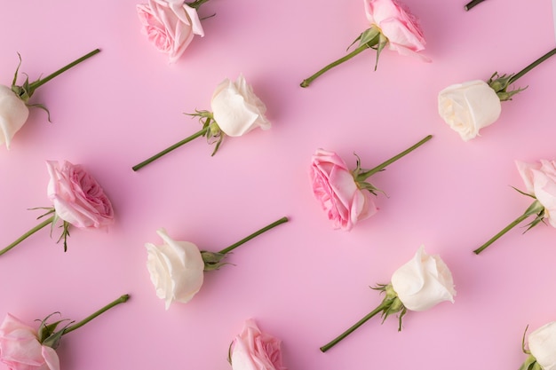 Top view blooming roses