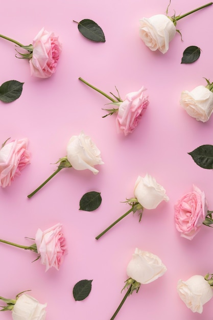 Top view blooming roses