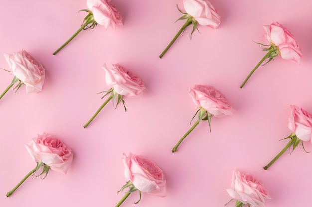 Top view blooming roses