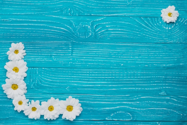 Top view of blue background with decorative daisies