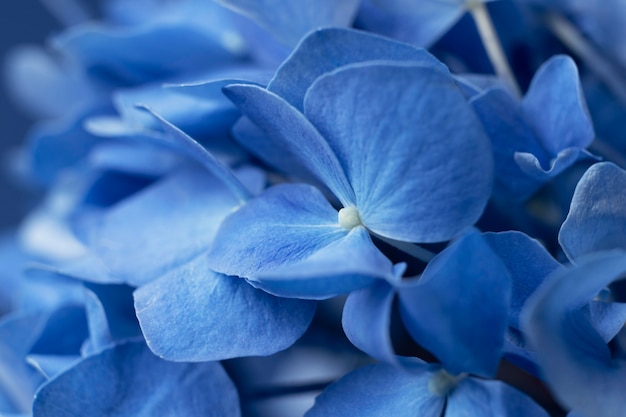 Top view blue monday concept composition with flowers close-up