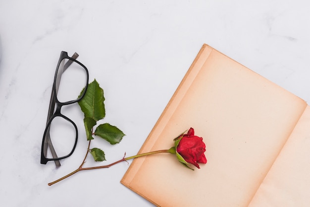 Top view of book and flower