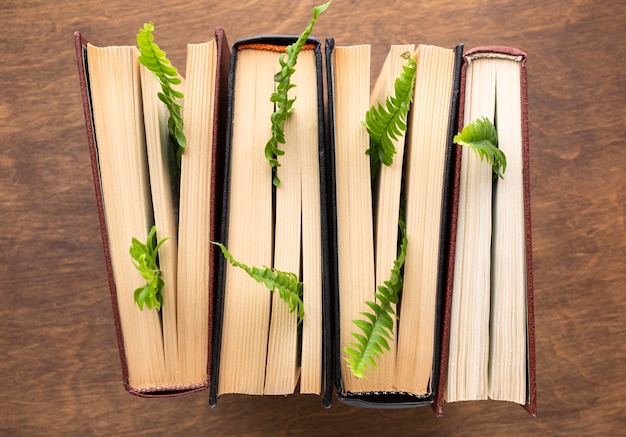 Top view books and plants arrangement