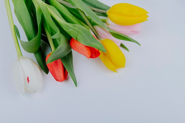 Top view of a bouquet of colorful tulip flowers isolated on white background with copy space