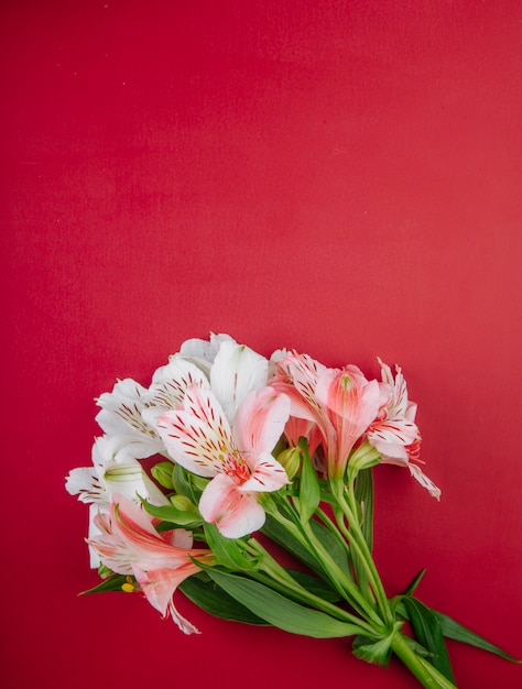 Free photo top view of a bouquet of pink color alstroemeria flowers isolated on red background with copy space