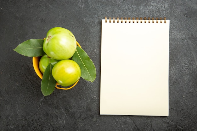 Top view bucket of green tomatoes and bay leaves and a notebook on dark background