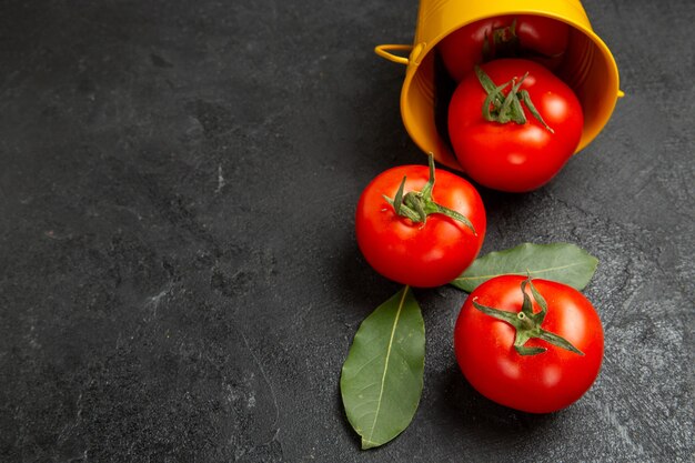 Top view bucket with red tomatoes and bay leaves on dark background