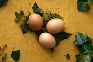 Free photo top view bunch of eggs on the table concept