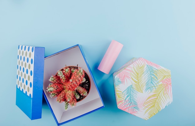 Top view of a cactus in a flowerpot in a carton gift box and roll of adhesive tape on blue background with copy space