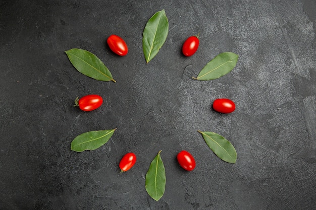 Free photo top view cherry tomatoes and bay leaves on dark ground