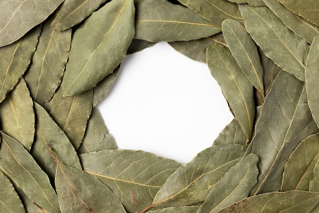 Top view circular frame with herbs