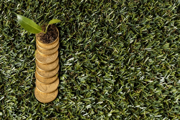 Free Photo top view of coins on grass with plant and copy space