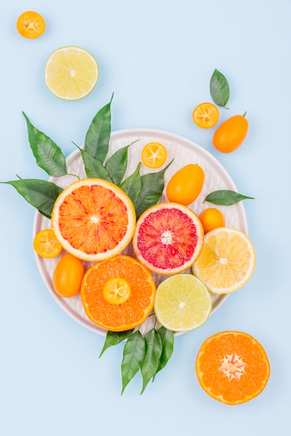 Top view collection of fresh fruits on the table