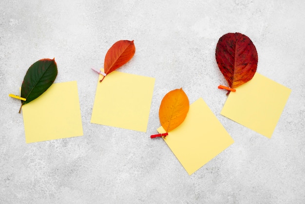 Top view of colored autumn leaves with sticky notes