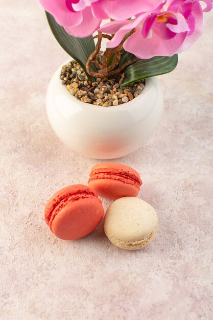 A top view colorful french macarons with flower on the pink desk cake biscuit sugar sweet