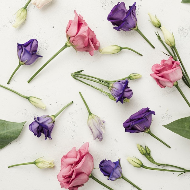 Free photo top view colorful roses on table